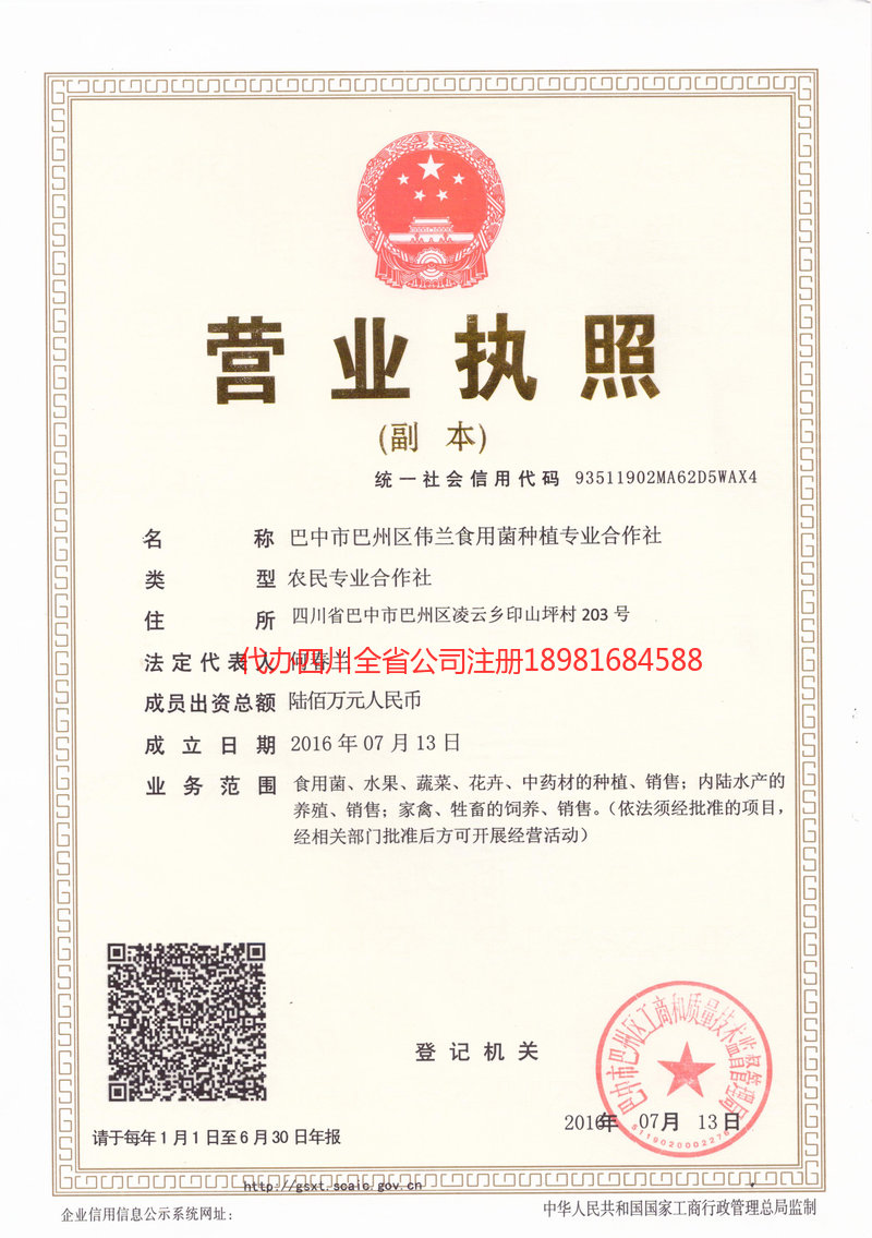 安顺安顺伟兰食用菌种植专业合作社